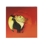 Olhar o Brasil - Charger Plate Red Macaw by Vista Alegre - Alternate Angle