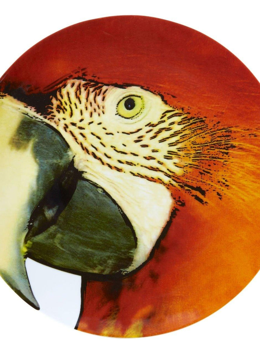 Olhar o Brasil - Charger Plate Red Macaw - LAZADO