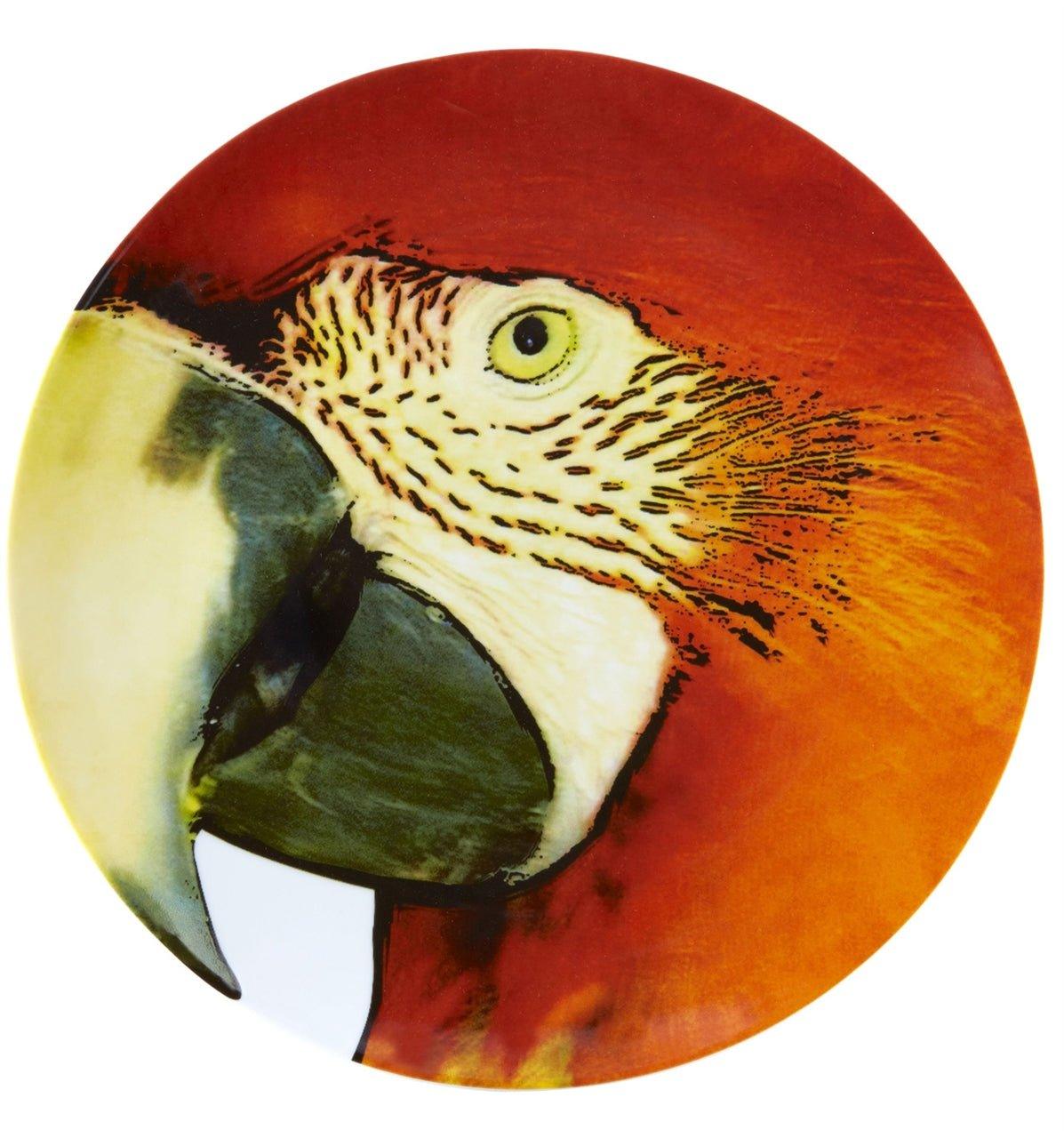 Olhar o Brasil - Charger Plate Red Macaw - LAZADO