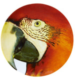 Olhar o Brasil - Charger Plate Red Macaw by Vista Alegre - Main View
