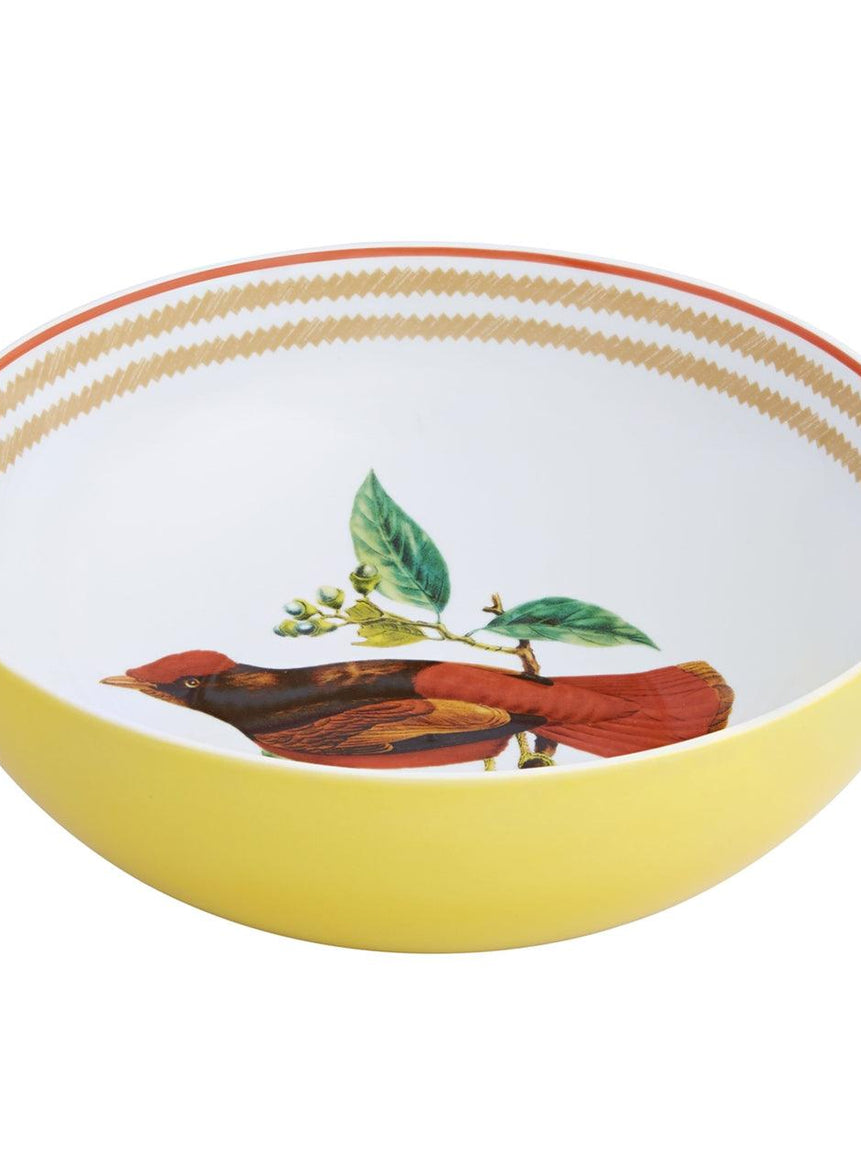 Olhar o Brasil - Salad Bowl - LAZADO