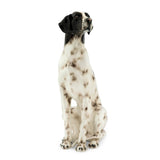 POINTER by Abhika - Alternate Angle