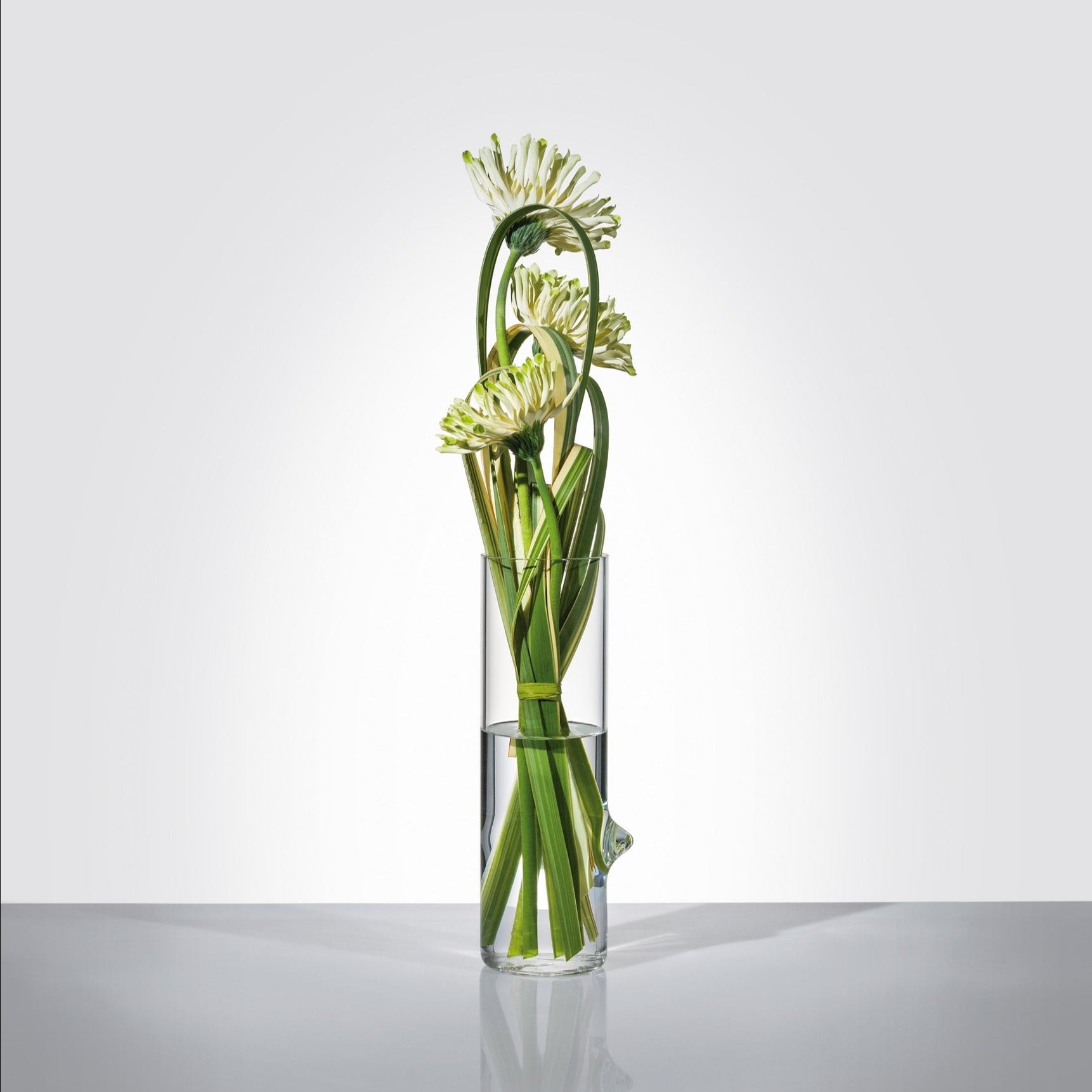 Pablo, vase/jug - LAZADO