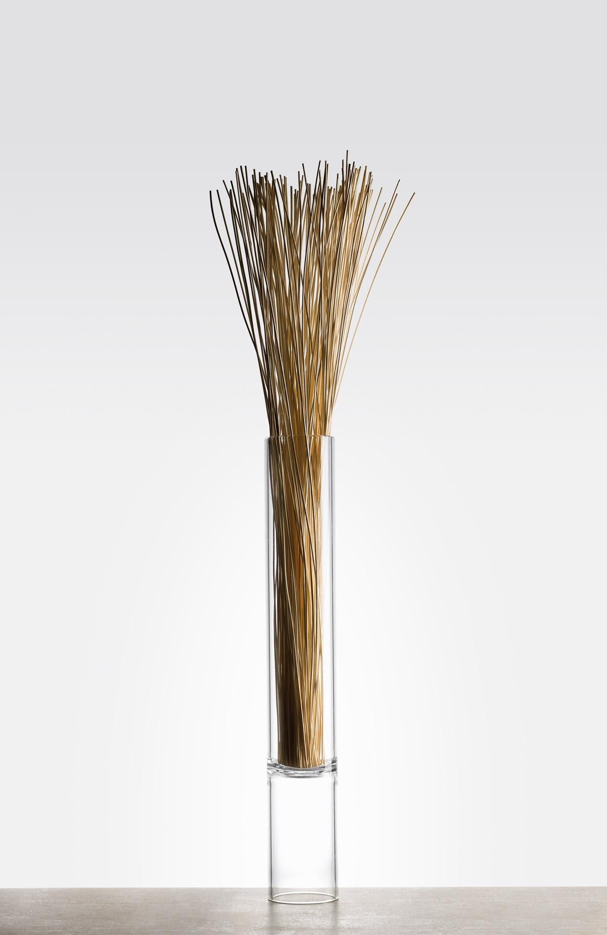 Tubular MID flower vase - LAZADO