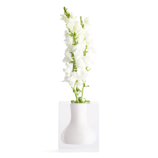 Walker Bud Vase - LAZADO